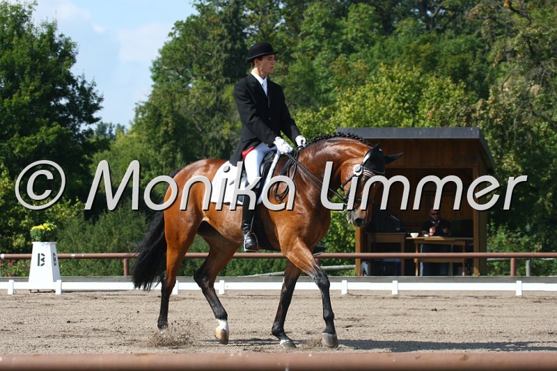 009M0069_Romantik Girl_Dressur L.JPG